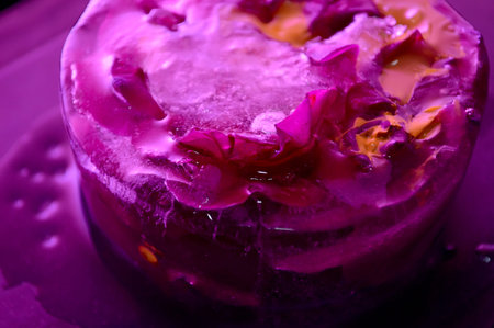 Roses frozen in ice on black background and field of pink neon light