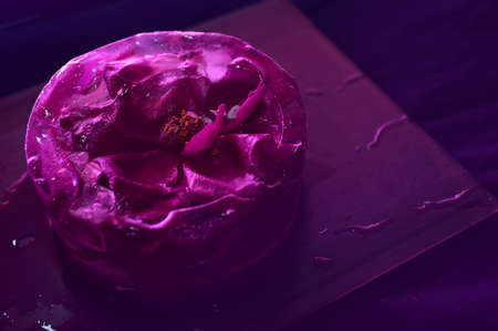 Roses frozen in ice on black background and field of pink neon lightの写真素材