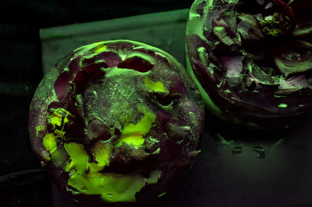 Roses frozen in ice on black background and field of green neon lightの写真素材