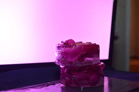 Roses frozen in ice on black background and field of pink neon lightの写真素材
