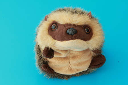 Soft toy の写真素材