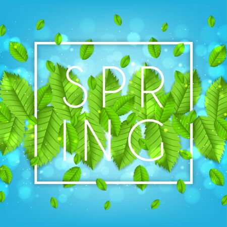 Elegant spring background with green leafs. Vector illustration.のイラスト素材