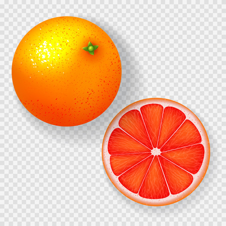 Realistic grapefruit isolated on transparent background. Top view on whole grapefruit and one slice. Vector illustration.のイラスト素材