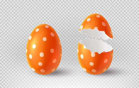 Orange cracked egg isolated on checkered background. Realistic eggshells. Vector illustration with 3d decorative object for Easter design.のイラスト素材