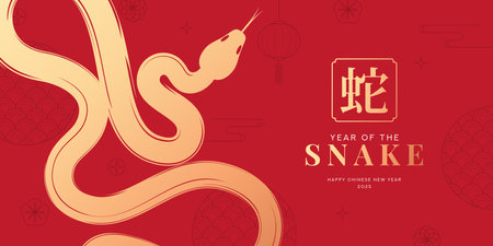 2025 Chinese New Year horizontal banner. Vector illustration with snakes, Asian symbols. Year of the Snake. 2025 Lunar New Year. Translation of hieroglyphs: snake. Template of cover, card, poster.のイラスト素材