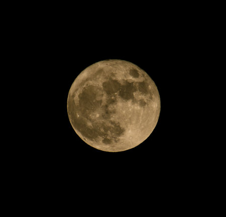 Moon
