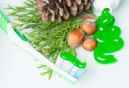 toothbrush with  pine conesの写真素材