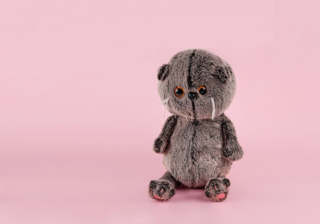 plush toy in the background