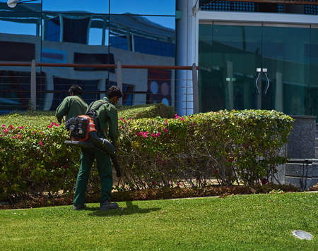 worker removes leaves from the lawn