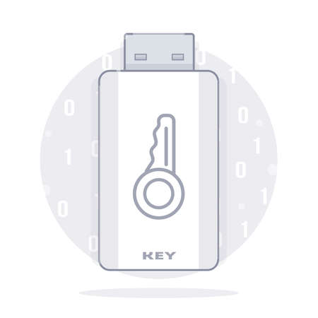 Usb key flash drive. Digital signature.のイラスト素材