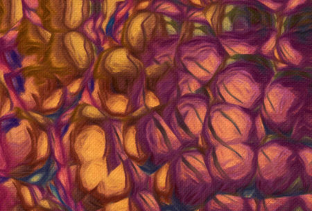 Psychedelic visual art abstract design pattern background, good for decorate banner, flyer, textile...