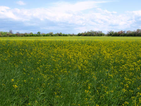 agricultureの写真素材