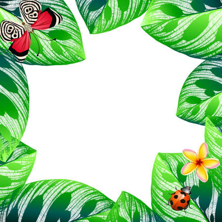 green leaves frame with place for text.のイラスト素材