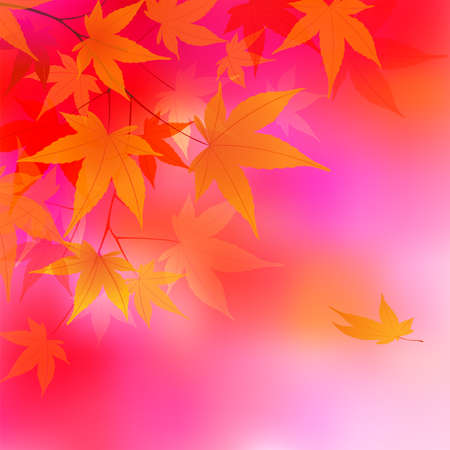 Autumn leaves background.   illustrationのイラスト素材