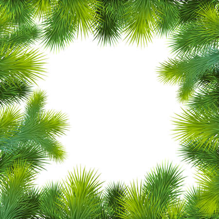 christmas background with christmas tree. Frame with green firのイラスト素材