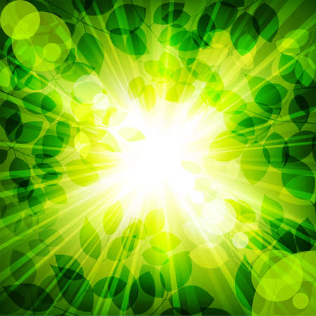 rays of sun in green leaves. Vector illustrationのイラスト素材