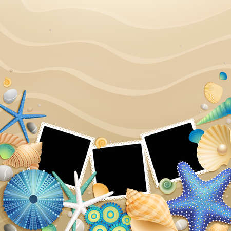 Pictures, shells and starfishes on sand background  illustrationのイラスト素材