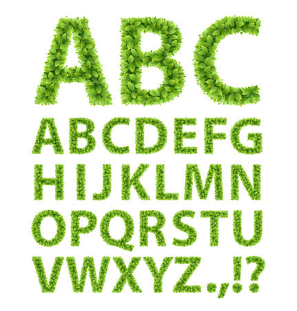 Green Leaves font  Vector illustration のイラスト素材