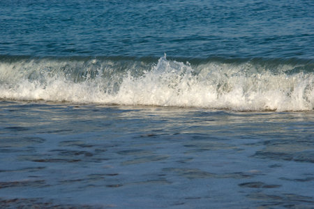 Sea wave near the shore