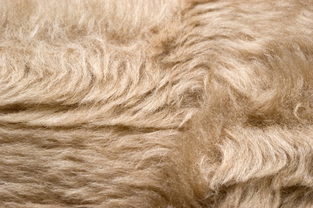 The background of textured light synthetic fabric closeupの写真素材