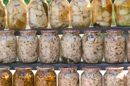 Homemade canned different mushrooms in glass banksの写真素材