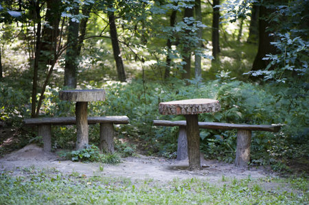 Wooden tables and benches in the forestの写真素材