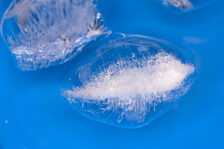 Ice cubes in water on a dark blue backgroundの写真素材