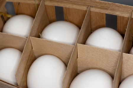White chicken eggs in wooden cells close-upの写真素材