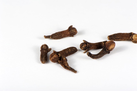 Dried buds of spicy clove close upの写真素材