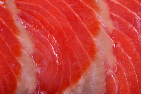 Smoked trout filet brightly lit close up
