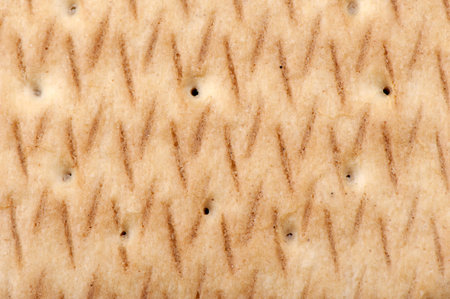 Background of the cookies close up