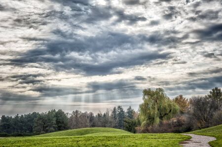 Autumn trees with colorful leaves in the city gardenの写真素材
