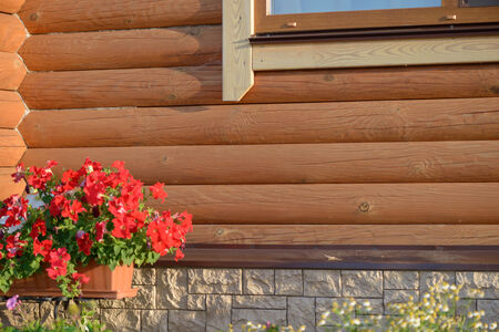 Flowers at the walls of a wooden summer housesの写真素材