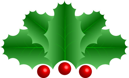 Symbolic vector graphic green leaves with red berriesのイラスト素材