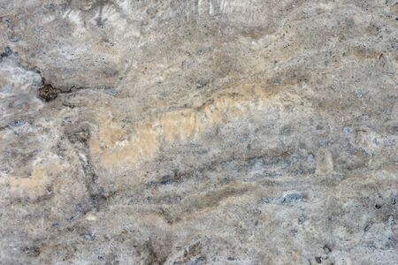 Background of natural building stone treatedの写真素材