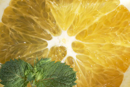 Sweet ripe blueberries close up macro photographyの写真素材