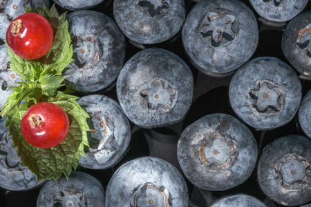 Sweet ripe blueberries close up macro photographyの写真素材