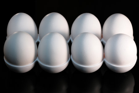Eight white raw chicken eggs in cells on a black background close-upの写真素材