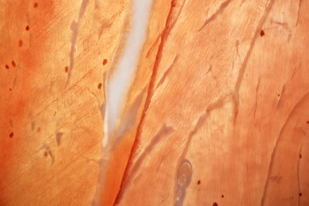 Cured pork jamon cut into thin layers and rolled into tubes lies on a black background close-up...