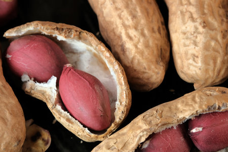 Roasted peanut boxes close-up on a black background macro photography