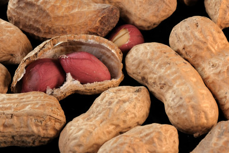 Roasted peanut boxes close-up on a black background macro photography