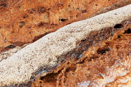 Hearth whole grain bread baguette with the addition of buckwheat flour close-up macro photography