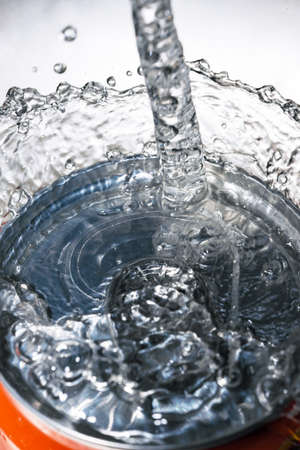 Small sprouts of plants on peat soil close-up macro photographyの写真素材