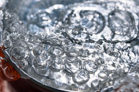 Small sprouts of plants on peat soil close-up macro photographyの写真素材