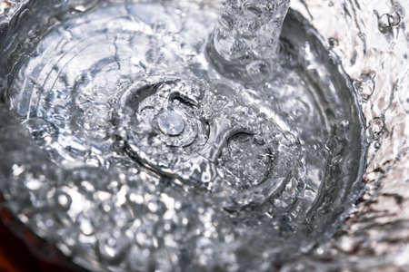 Small sprouts of plants on peat soil close-up macro photographyの写真素材