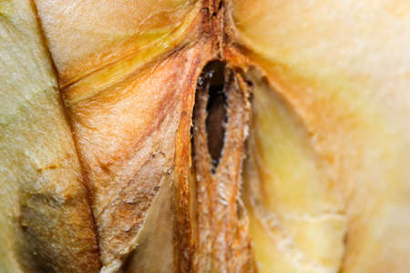 Wooden textured background from old prefabricated hot dish stand close-up macro photographyの写真素材
