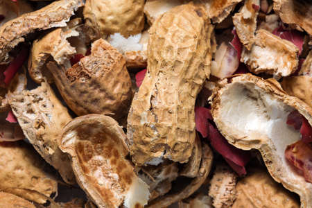 Peanut husk peanut organic filling for soil close-up macro photographyの写真素材