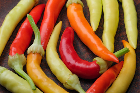 Indoor variety multicolored hot bitter pepper on a brown clay plate close-up macro photographyの写真素材