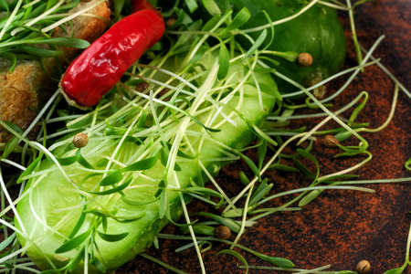 Cilantro sprouts micro greens fortified vegetarian food on brown ceramic plate close-up macro photographyの写真素材