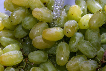 White seedless grapes in a bunch under a stream of clean water close-up macro photography